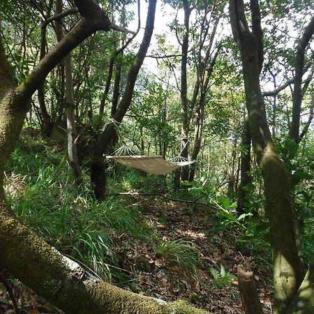 Nature Inn Madeira - Glamping Porto Moniz Eksteriør billede