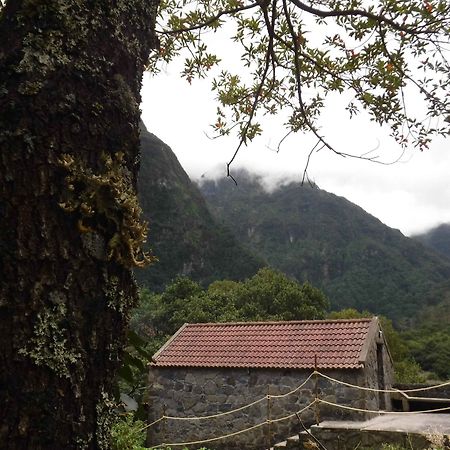 Nature Inn Madeira - Glamping Porto Moniz Eksteriør billede