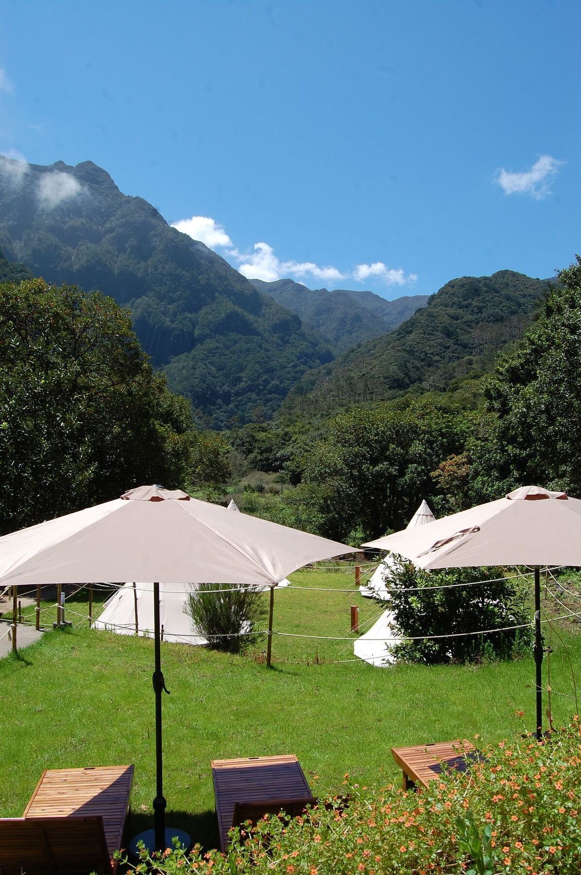 Nature Inn Madeira - Glamping Porto Moniz Eksteriør billede