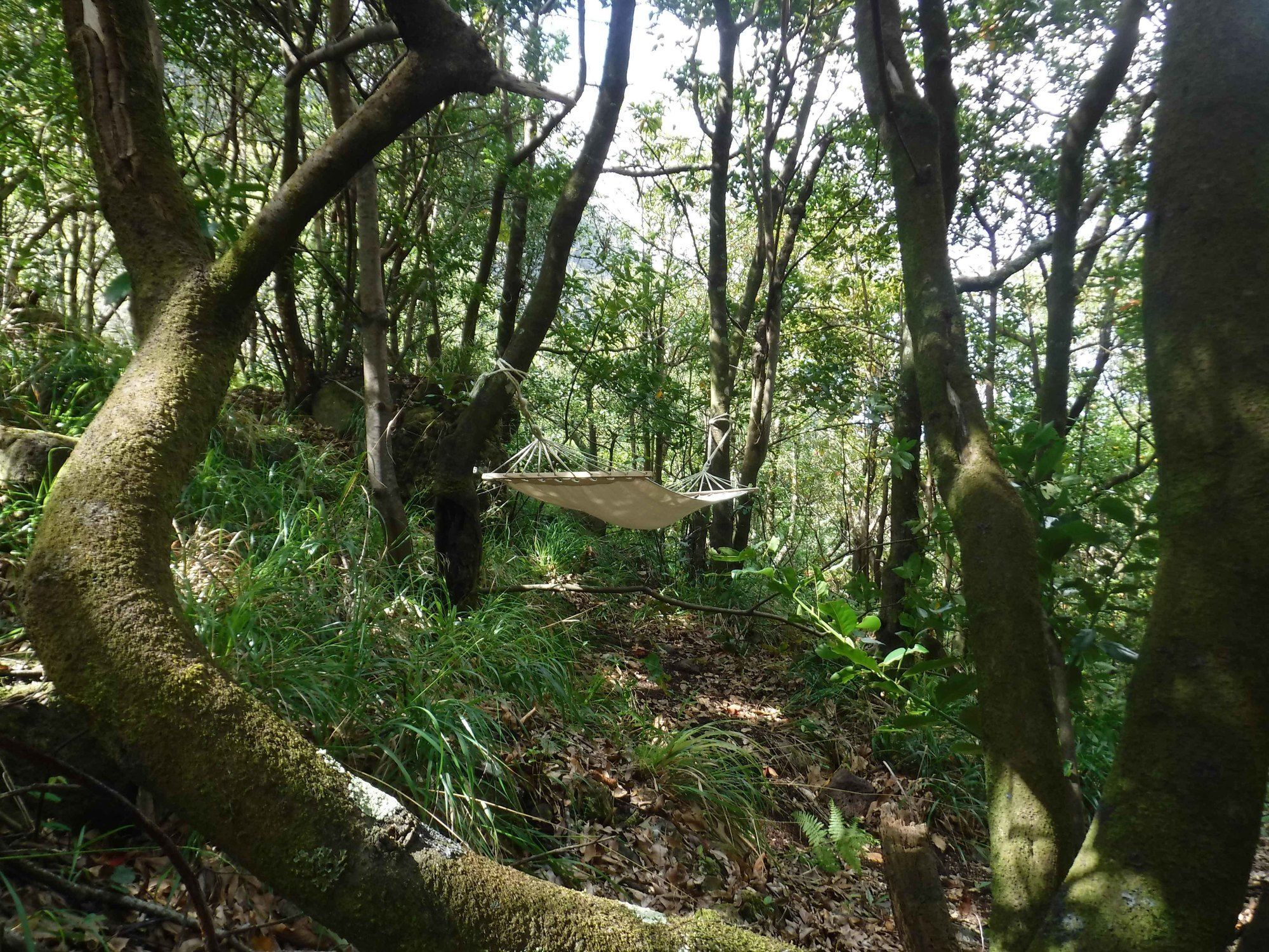 Nature Inn Madeira - Glamping Porto Moniz Eksteriør billede