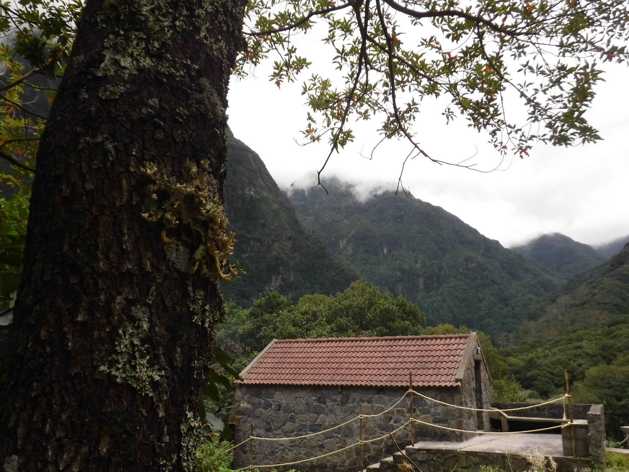 Nature Inn Madeira - Glamping Porto Moniz Eksteriør billede